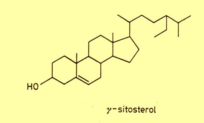 Biotransformacja