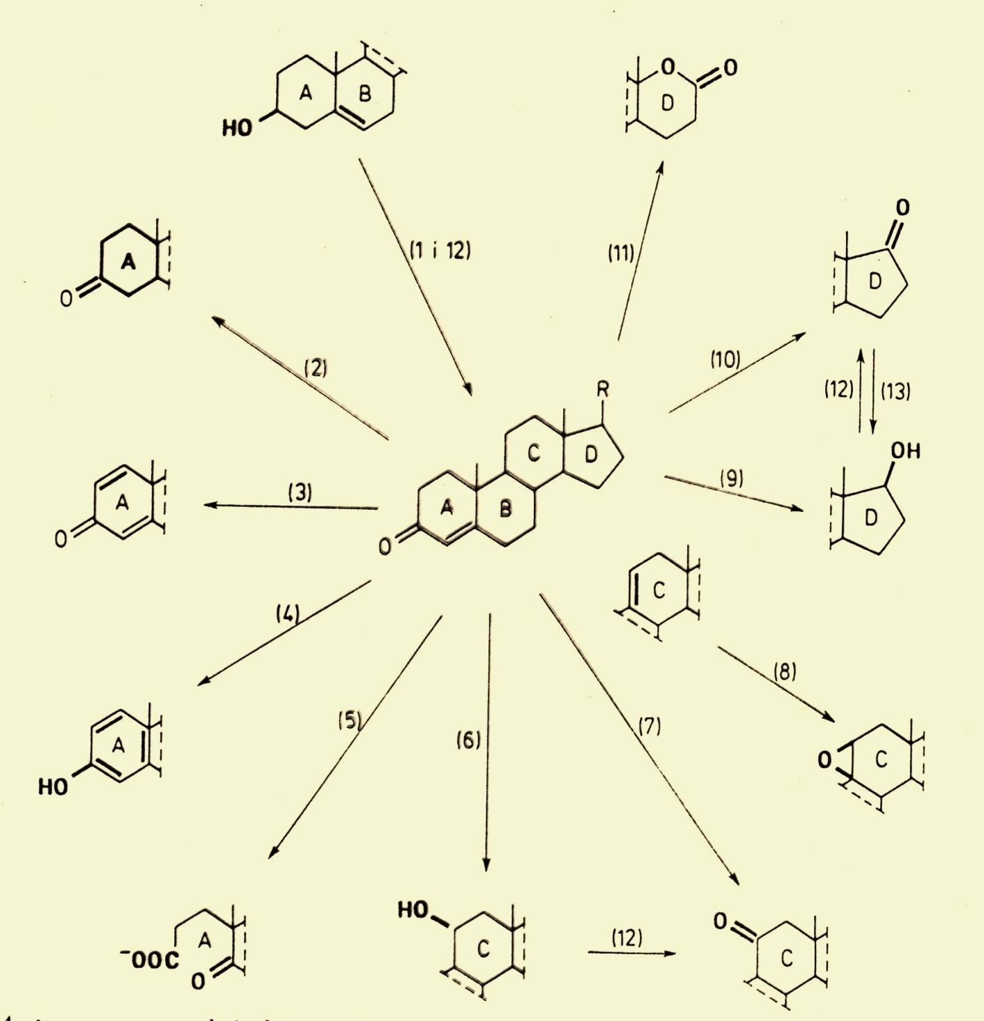 Podstawowe reakcje biotransformacji związków steroidowych 1- izomeryzacja połączona z utlenieniem grupy hydroksylowej 2 - uwodornienie podwójnego wiązania 3 - odwodornienie 4 - aromatyzacja 5