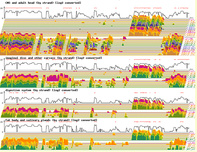 RNA-seq