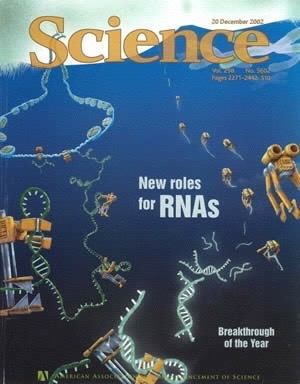 Odwrotna genetyka interferencja RNA Odkrycie roku 2002 regulacyjna rola małych RNA Nagroda