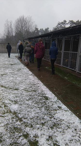 Zbiórka koców dla psów ze schroniska w Sosnowicach W naszej szkole jest cyklicznie