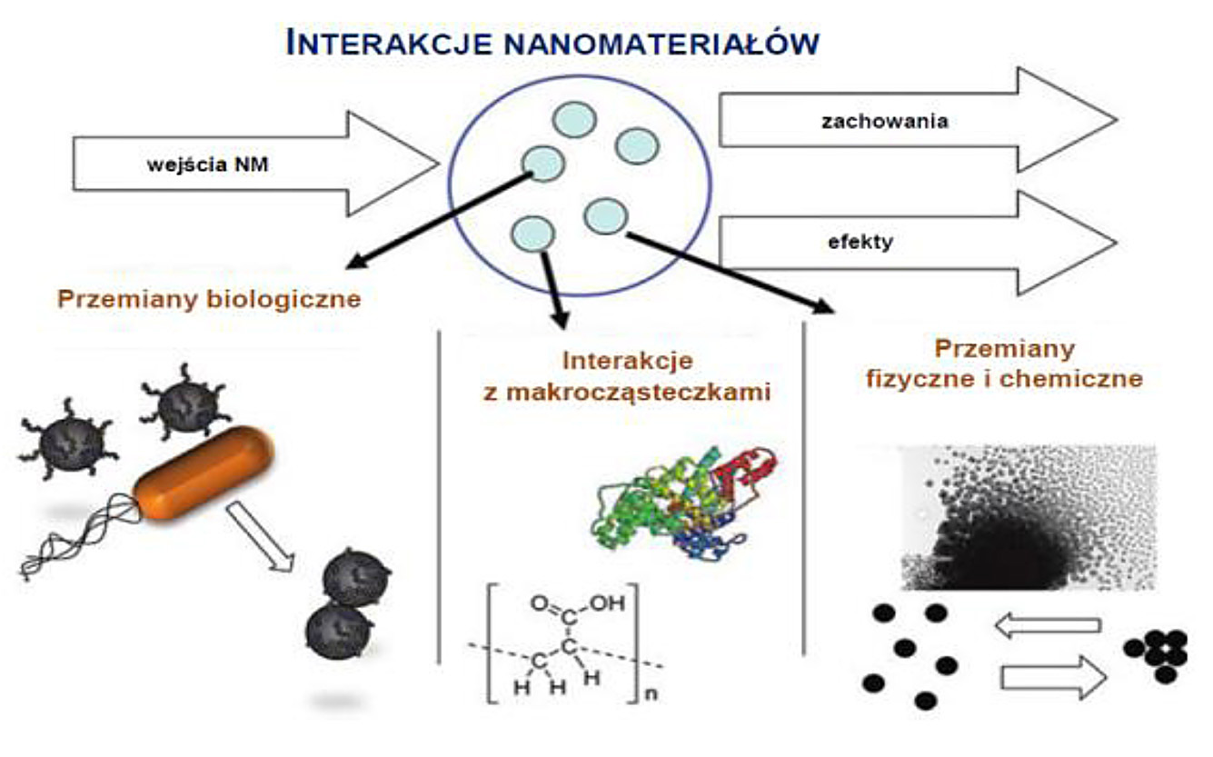 Inżynieria Ekologiczna / Ecological Engineering Vol. 18 (1, 2017 Rys. 2. Interakcje nanomateriałów w środowisku [Lowry i in. 2012] Fig. 2. Interaction of nanomaterials in the environment [Lowry i in.