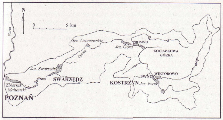 Rys. 1. Zlewnia rzeki Cybiny (Gołdyn i in. 2005) 4.2. Hydrologia zlewni W zlewni rzeki Cybiny zainstalowany jest jeden wodowskaz, który zlokalizowany jest powyżej mostu drogowego w Antoninku w km 8+700.