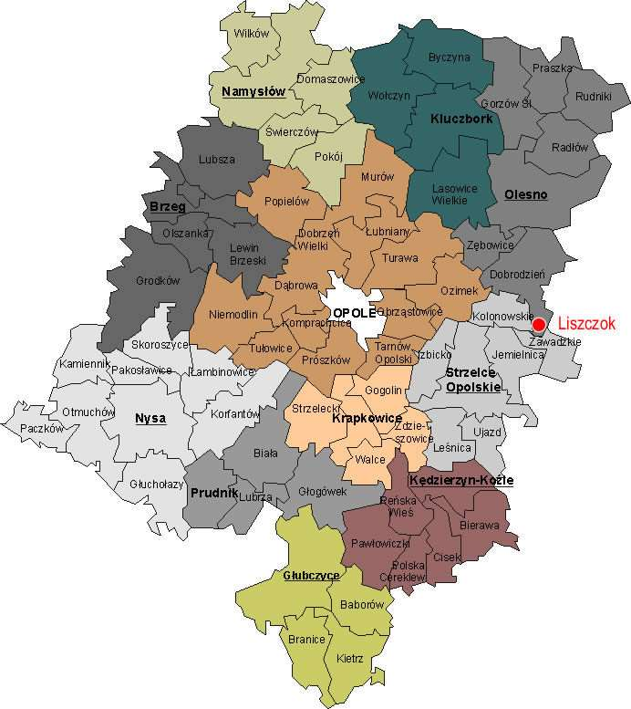 Lasy RDLP Katowice województwo opolskie Województwo opolskie Gospodarka leśna w katowickiej Dyrekcji prowadzona jest na terenie 6 województw: śląskiego w całości na powierzchni ogólnej 319,82 tys.