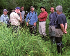 Ochrona wodniczki w Polsce i w Niemczech Newsletter Projektu LIFE Nr 1 / Październik 2008 Monitoring entomologiczny fot.