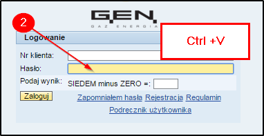 I. Rejestracja 1. podaj dane rejestracyjne numer klienta, PESEL dla konsumentów lub NIP dla firm, numer telefonu, adres e-mail 2. zaakceptuj regulamin 3. zarejestruj konto 4.