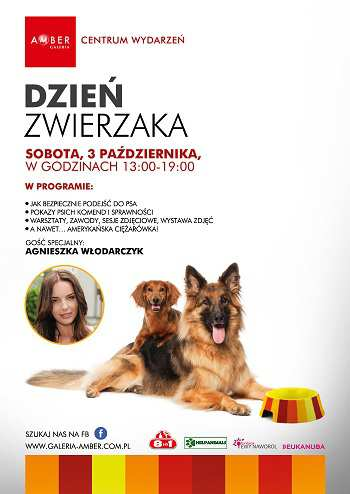 9. Multi Art Festival Warsztaty MultiArtek z Martą Czarnecką /dla dzieci 8-12 lat 03-10-2015, godz. 12.00 Rozmarek, zbieg ul. Targowej i Przechodniej Wstęp wolny org. MultiArt, https://www.facebook.