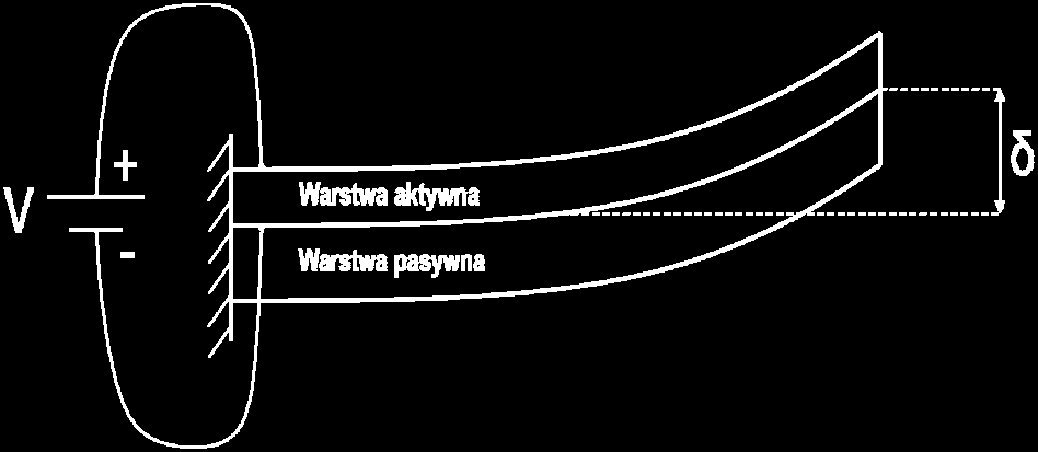 84 Zeszyty problemowe Maszyny Elektryczne Nr 100/2013 cz. II przemieszczenia wywołanego przez wgłębnik. Poza statyczną siłą, na powierzchnię testowanej tkanki wprowadzane są wibracje [5].