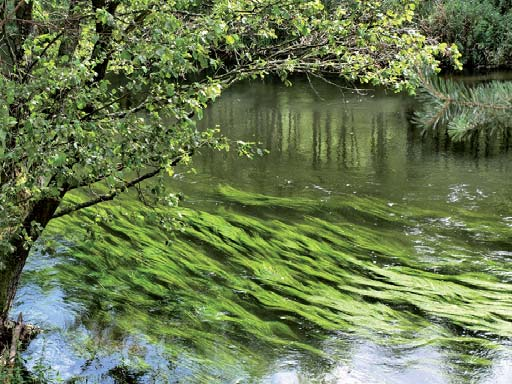 Pro-ecological investments Inwestycje proekologiczne Nazwa zakładu / Entity name Nazwa zadania / Task name SMALL AND MEDIUM-SIZED ENTITIES FOSFAN S.A. Malborskie Zakłady Chemiczne ORGANIKA S.A. Malborskie Zakłady Chemiczne ORGANIKA S.A. Zakład Produkcji Pianki / Foam Production Plant Warter Sp.