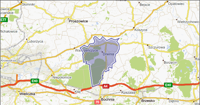 Największym bogactwem gminy jest bezpośrednie sąsiedztwo z Puszczą Niepołomicką.