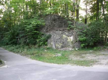 Rys. 5. Park Bednarskiego w Krakowie, fragment ściany kamieniołomu (fot. M.