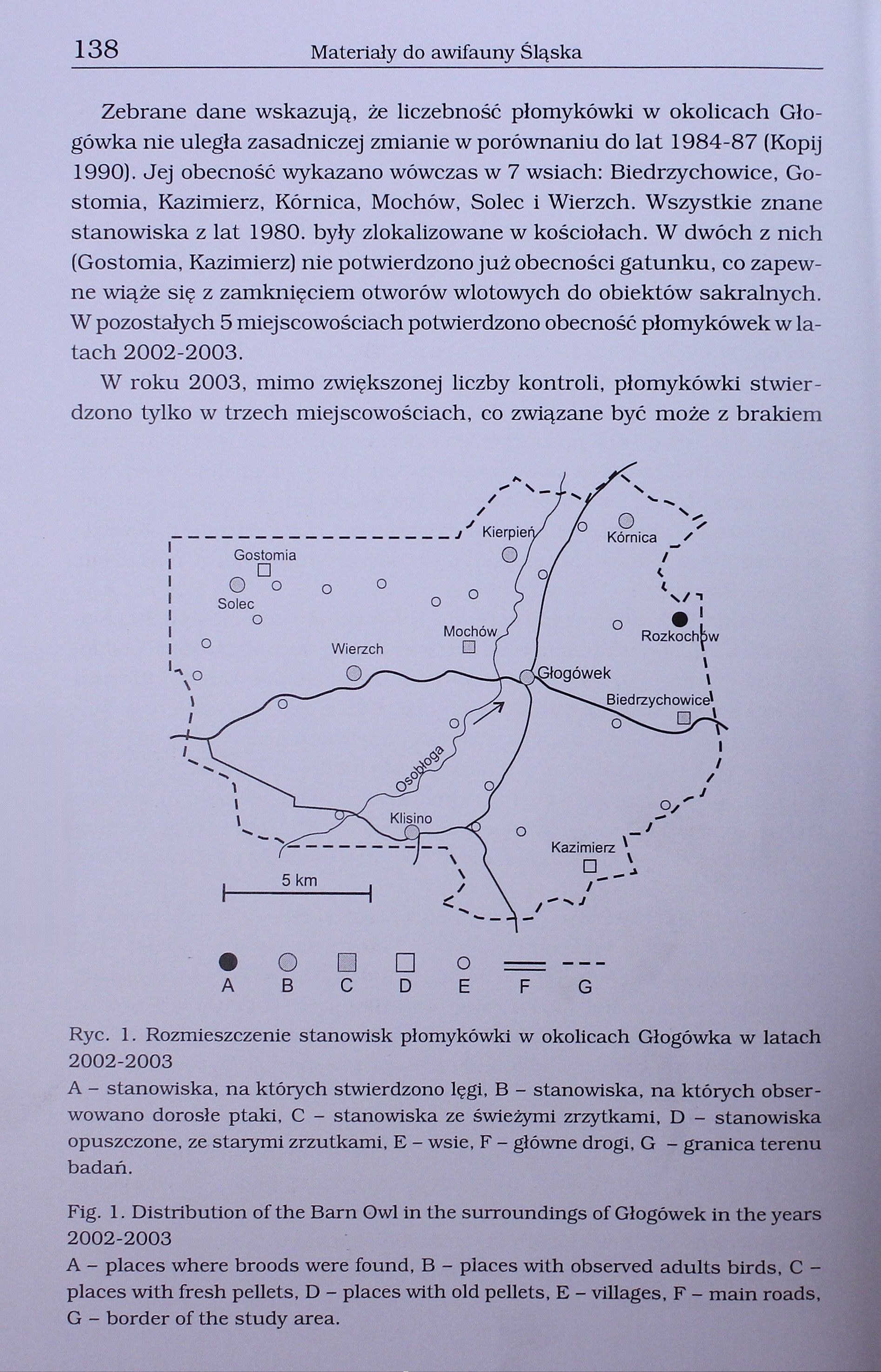 138 Materiały do awifauny Śląska Zebrane dane wskazują, że liczebność płomykówki w okolicach Głogówka nie uległa zasadniczej zmianie w porównaniu do lat 1984-87 (Kopij 1990).