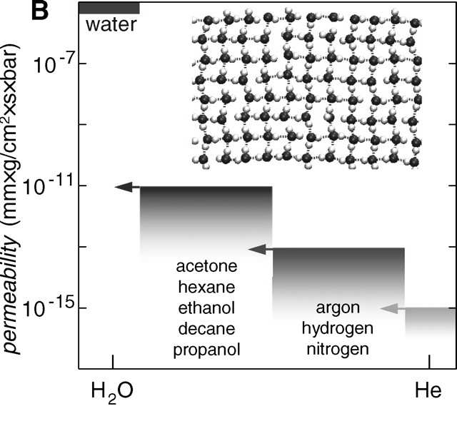 Membrany głośnikg ników/słuchawek Separatory chemiczne Grafen jest nieprzepuszalny dla gazów (łączenie z He), ale jest przepuszczlany dla H 2 O Science 2012: vol. 335 no. 6067 pp.