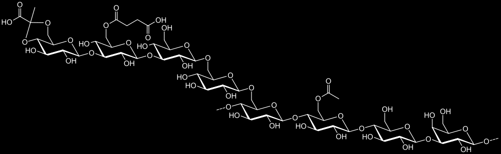 Extracellular Polymeric Substances Egzopolisacharydy są to