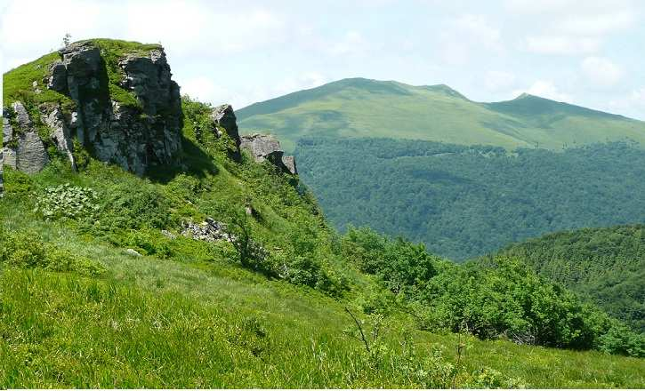 - Bieszczady mapa turystyczna 1:50000 Wydawnictwo Compass Kraków 2016, - Bieszczadzkie pogranicze polsko-słowackie mapa turystyczna 1:50000 Wydawnictwo Compass Kraków 2015, - Cerkwie drewniane Karpat.