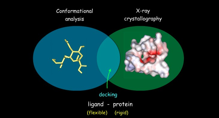 Dokowanie giętkich ligandów Rozwój metod giętkiego dokowania