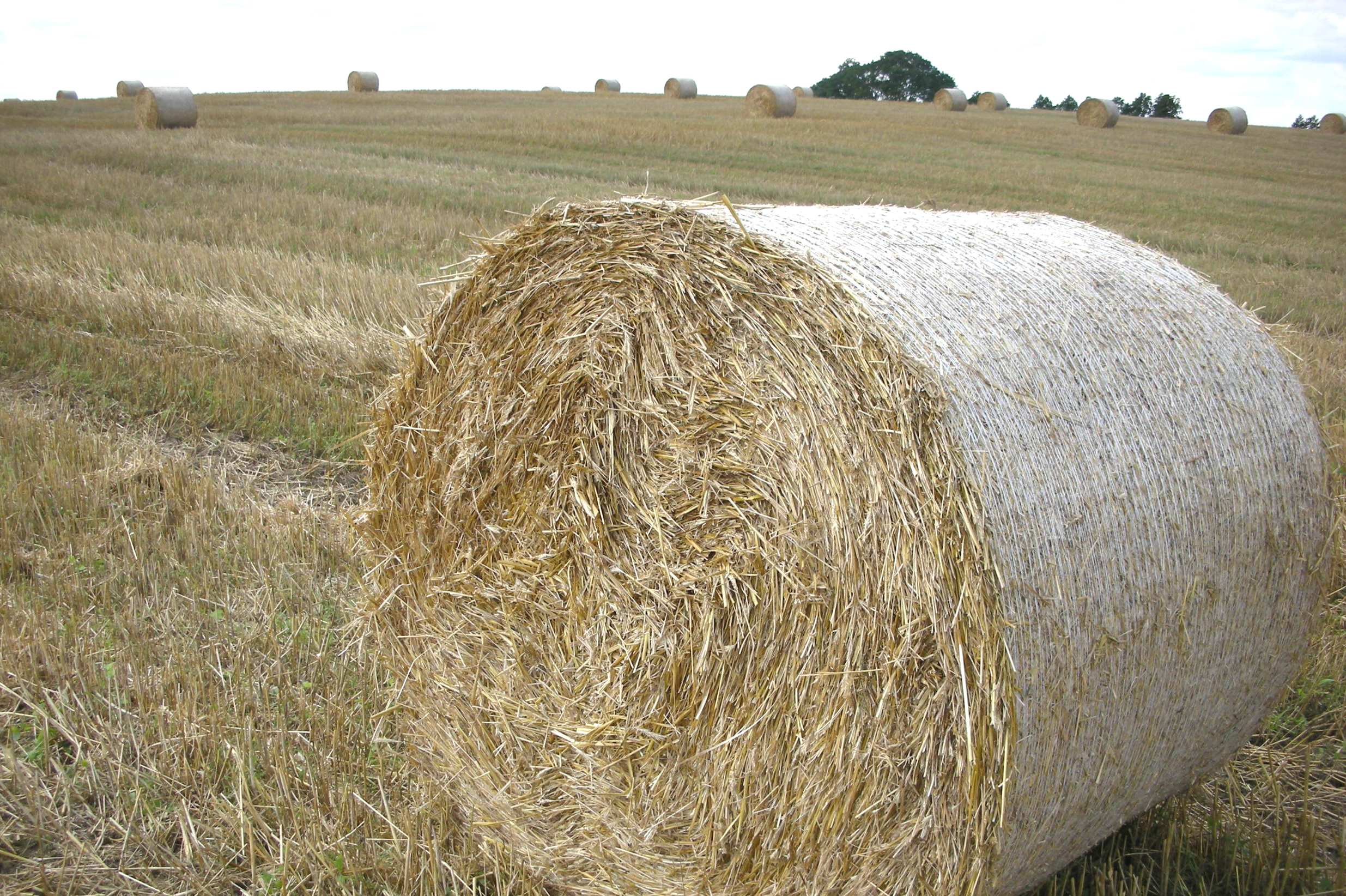 Technologia BIOMASSER Agrobiomasa Wilgotność 10% - 30% Rozdrobnienie agrobiomasy Długość