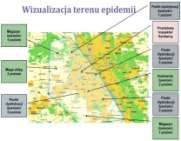 BADANIA i ROZWÓJ: Realizowane projekty B+R, c.d.