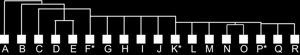 Dystrybucja haplotypów chromosomu Y Jobling &