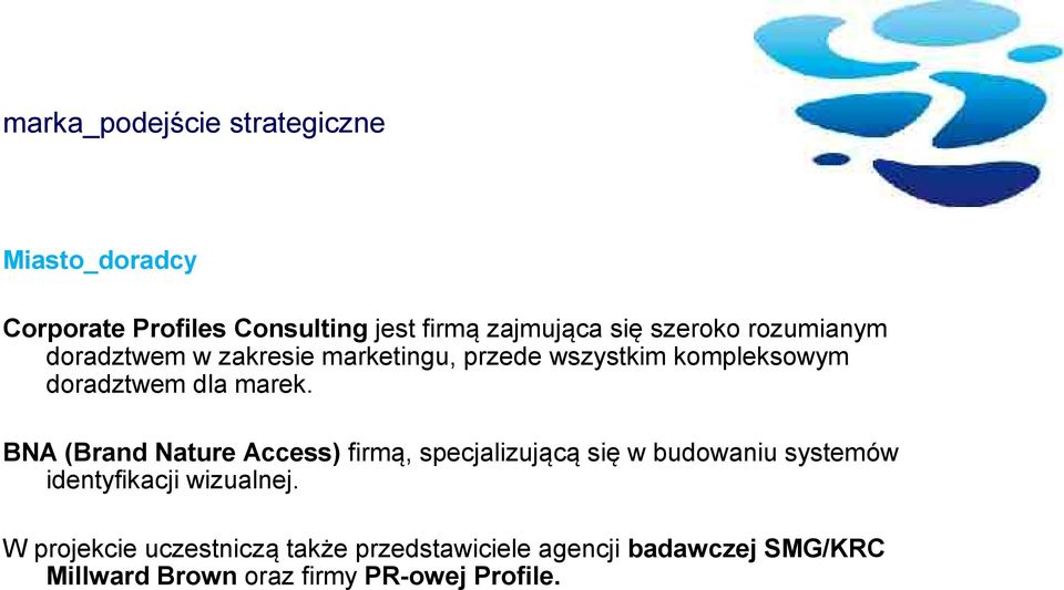 BNA (Brand Nature Access) firmą, specjalizującą się w budowaniu systemów identyfikacji wizualnej.