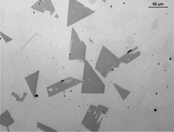 Rys. 5. Mikrostruktura kompozytu Ni 3 Al/WC po czasie syntezy 30 sek. Fig. 5. Microstructure of Ni 3 Al/WC composite after 30 seconds of synthesis Rys. 6.