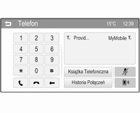 Ustanowione zostanie połączenie telefoniczne z centrum połączeń alarmowych. Gdy zgłosi się operator centrum alarmowego, należy go poinformować o zaistniałej sytuacji.