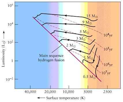 Gwiazda ciągu głównego Ewolucja gwiazd W momencie rozpoczęcia nukleosyntezy gwiazda przesuwa się na ciąg główny.