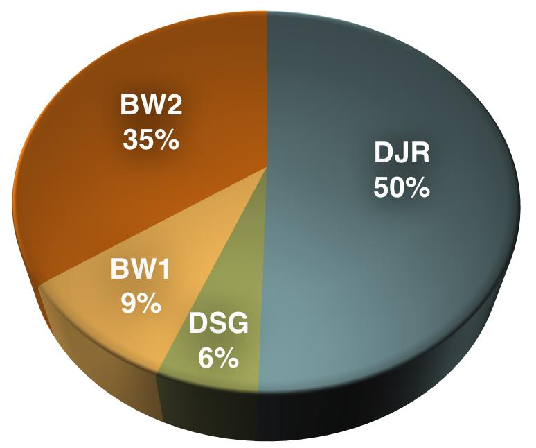 Procentowy udział powierzchni użytkowej mieszkań według rodzajów budynków Typ budynku DJR DSG BW1 BW2 Okres budowy Liczba Liczba Powierzchnia budynków mieszkań użytkowa, m 2 do 1944 865 913 865 913