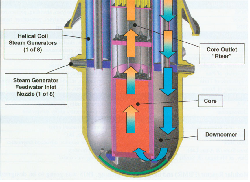 Reaktor IRIS (International Reactor Innovative and Secure, międzynarodowy reaktor innowacyjny i bezpieczny), zaprojektowany przez firmę Westinghouse, ma konfigurację integralną: wszystkie główne