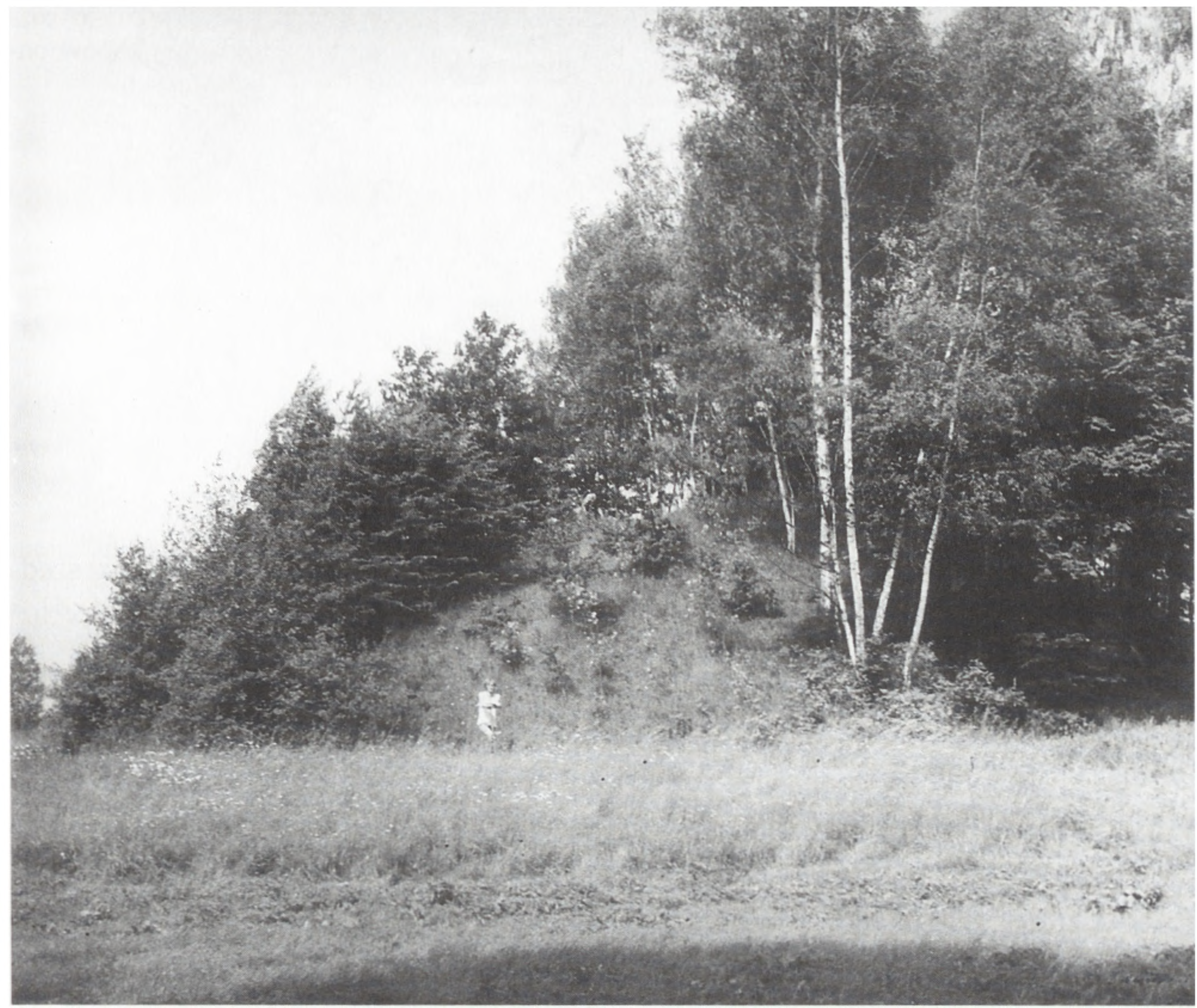 Grodzisko średniowieczne i dziegciarnia w Pile 223 Ryc. 2. Piła, widok grodziska stożkowatego, 1980 r.