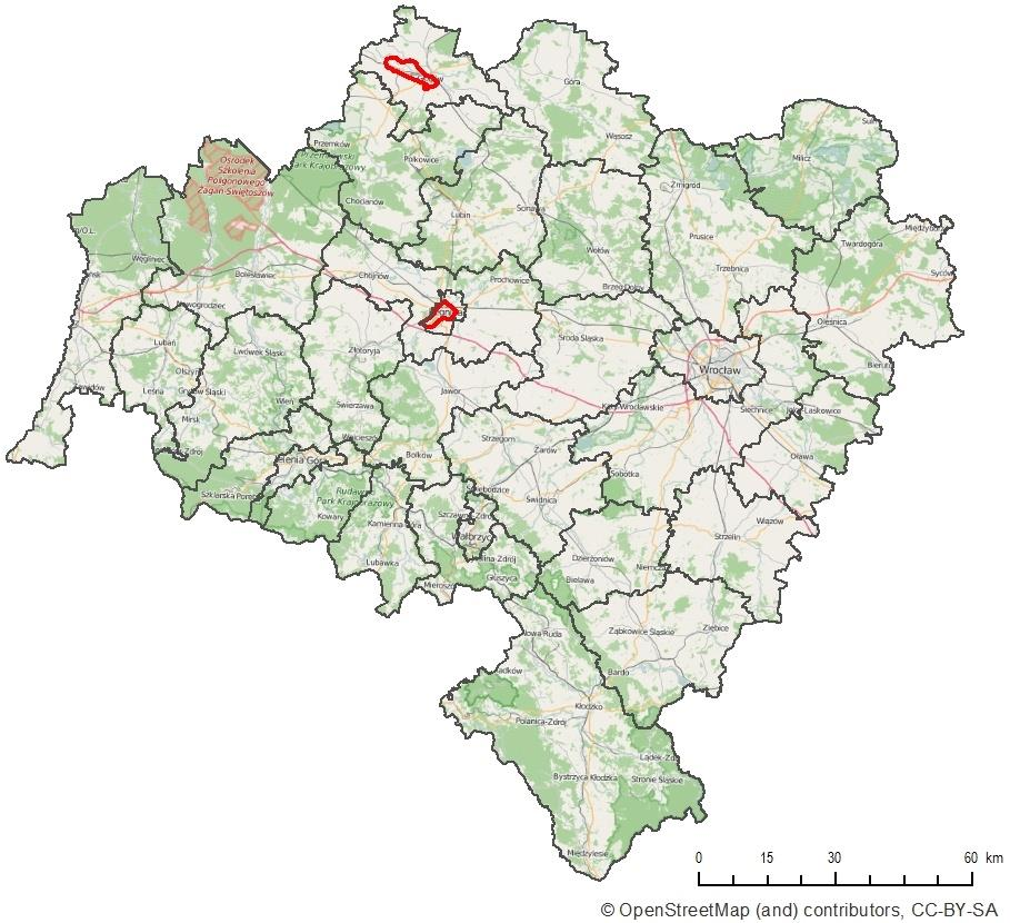 Obszary przekroczeń stężeń rocznych arsenu Miasto Legnica: Ocena 2015 przekroczeń: 34% powierzchni miasta, ok.