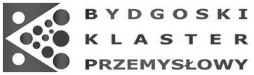 REGULAMIN UCZESTNICTWA W PROJEKCIE PROJEKT Nr WND POKL.08.02.01-04-030/12 pt. Bydgoski Klaster Przemysłowy z innowacją za pan brat 1 Postanowienia ogólne 1.