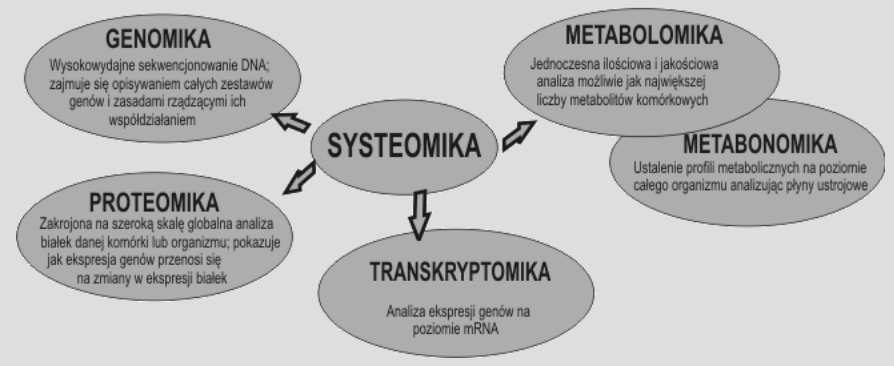 proteomika gałąź nauki zajmująca się badaniem białek - ich struktury, sprawowanych przez nie funkcji i zależności między nimi.