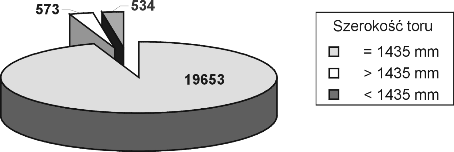 Łączna długość torów linii kolejowych, bocznic i stacji wynosiła 39 124 km. Rys. 8. Struktura linii kolejowych w 2003 r. [w km] Długość eksploatowanych do 31 grudnia 2003 r.