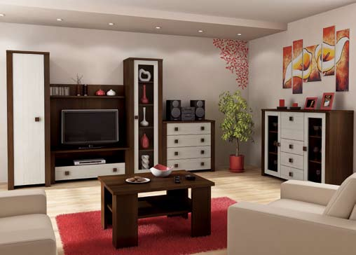 DUO System modułowy składa się z 21 elementów / Module system consists of 21 components Meble do samodzielnego montażu / Ready-to-assemble furniture Kolory: wenge (korpus), klon (fronty) Colours: