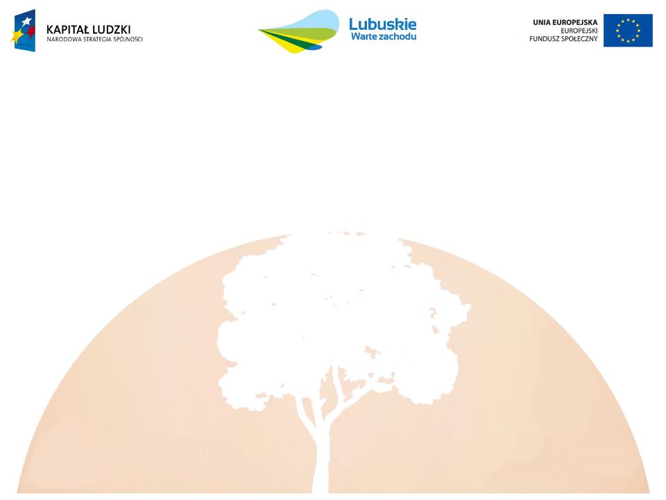 Wnioski z wdrażania komponentu regionalnego Programu Operacyjnego Kapitał Ludzki w latach 2007-2013 w kontekście nowej perspektywy finansowej