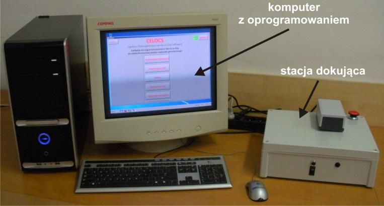 Kształt i wzajemne położenie pików na elektroferogramie zależy od wielu parametrów, m.in. przekroju kolumny separacyjnej, temperatury procesu, czasu migracji (Rys. 4b).