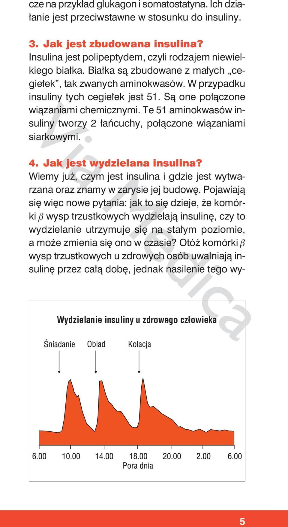 Te 51 aminokwasów insuliny tworzy 2 łańcuchy, połączone wiązaniami siarkowymi. 4. Jak jest wydzielana insulina? Wiemy już, czym jest insulina i gdzie jest wytwarzana oraz znamy w zarysie jej budowę.