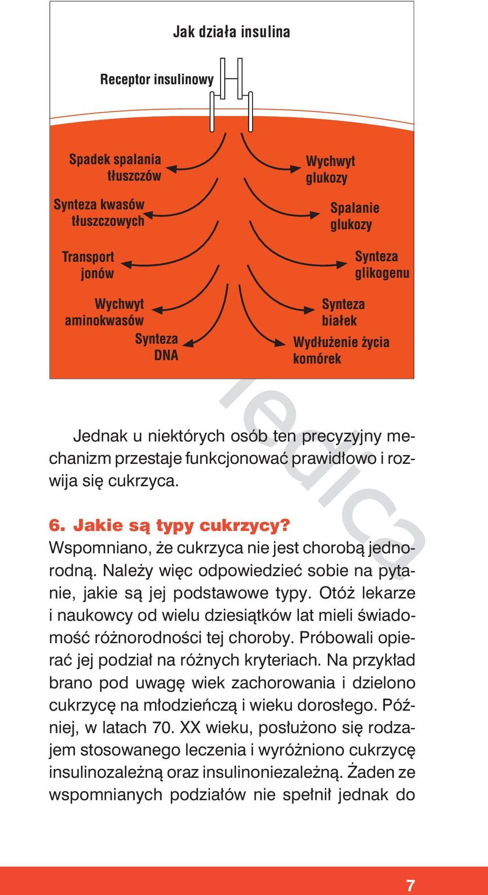 Otóż lekarze i naukowcy od wielu dziesiątków lat mieli świadomość różnorodności tej choroby. Próbowali opierać jej podział na różnych kryteriach.