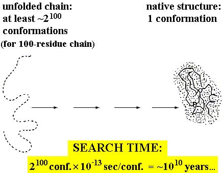 HOW DOES PROTEIN FOLD? and even more: How CAN protein fold spontaneously?