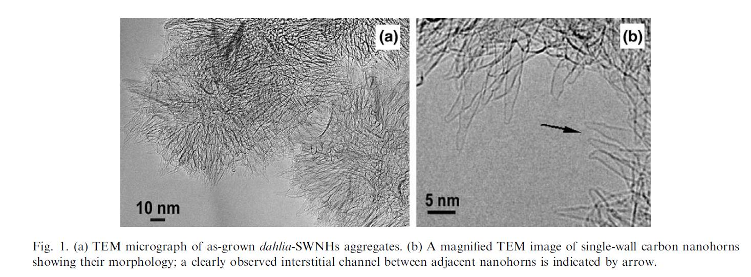 Nanorogi węglowe Bekyarova et al. Chem. Phys. Lett.