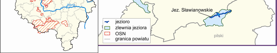 Raport o stanie środowiska w Wielkopolsce w roku 2010 wykazały przekroczenia wartości granicznych dla chemicznych wskaźników jakości wód, tj.