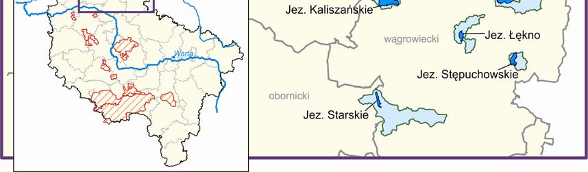 Stan wód Jezioro Borówno jest zbiornikiem stratyfikowanym, o głębokości średniej 8 m i maksymalnej 18,5 m.