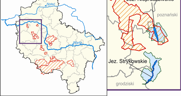 Raport o stanie środowiska w Wielkopolsce w roku 2010 Jezioro Czeszewskie jest zbiornikiem niestratyfikowanym, o głębokości średniej 3,7 m i maksymalnej 8,3 m, o dużym wpływie zlewni na jakość wód.