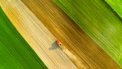 SOWUL & SOWUL NASZE NASIONA WYSIEJESZ Z PRZYJEMNOŚCIĄ Nasiennictwo to sektor przemysłu rolno spożywczego odpowiadający za wdrożenia najnowszych osiągnięć genetyki.