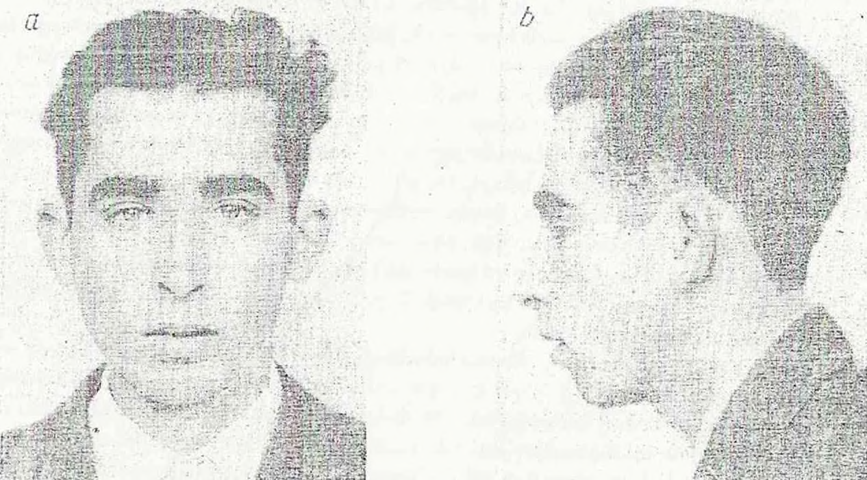 Fot. l0a ib. Przedstawiciel typu subnordycznego (AL), (mieszaniec rasy nordycznej z laponoidalną) Wzrost różny.