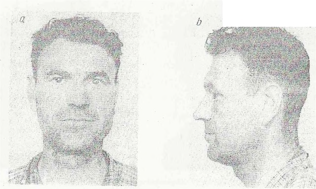 Fot. 13 ta i b. Przedstawiciel typu alpejskiego (HL), (rnieszcniec rasy armenoidalnej z laponoidalną) Wzrost rożny, przeważnie średni.