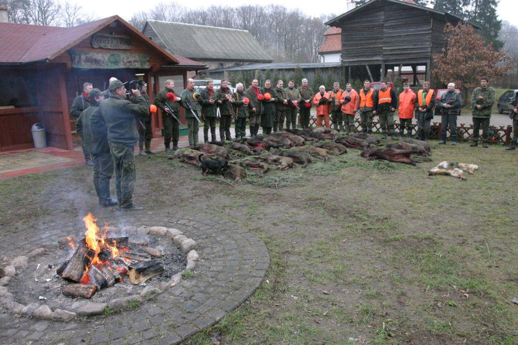 Wstęp Populacja dzika - funkcjonowanie i zagrożenia Populacja dzika w Europie i Polsce od szeregu lat nieustannie wzrasta obecnie krajowa populacja dzika przekroczyła 282 tys.