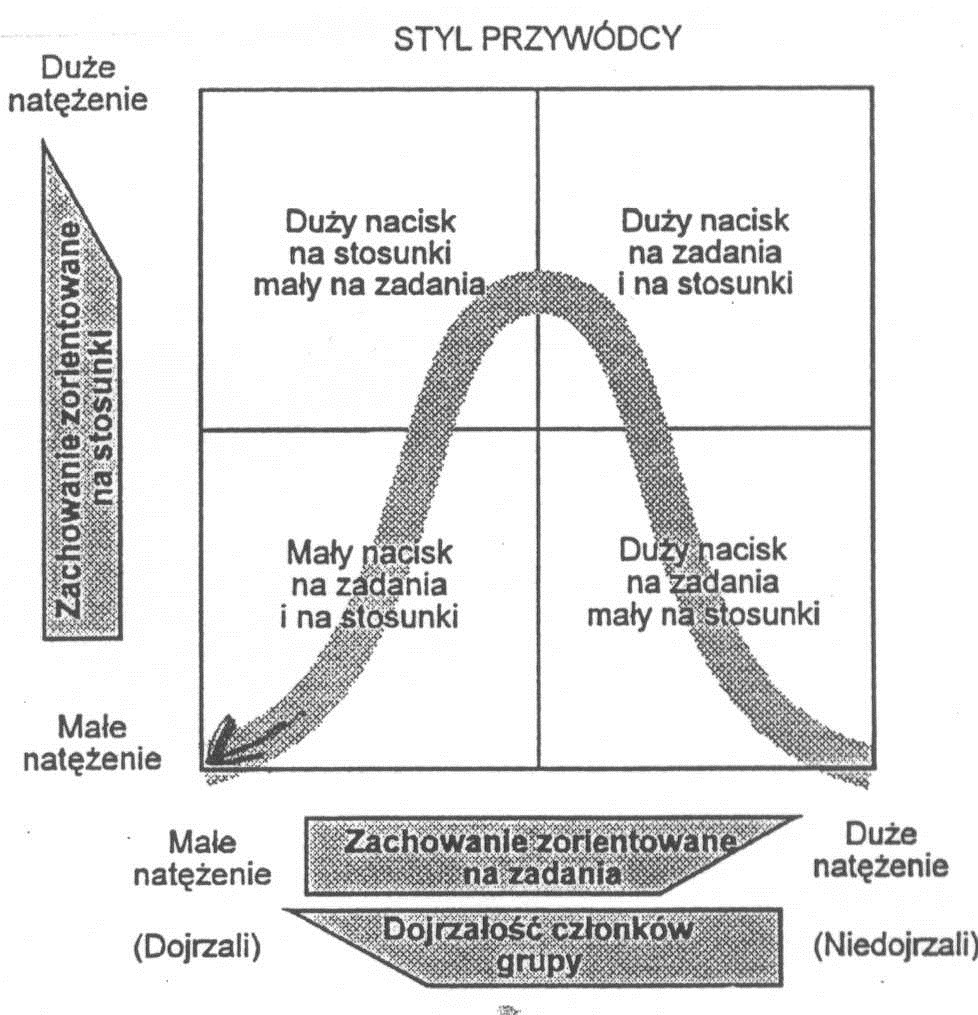 Elastyczność