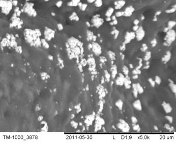 92 Elżbieta Sąsiadek Rys. 25. Zdjęcia SEM napromienionych UV (10 J/cm 2 ) próbek bawełnianych drukowanych pastą zawierającą 1% (ww.) AgNO 3.